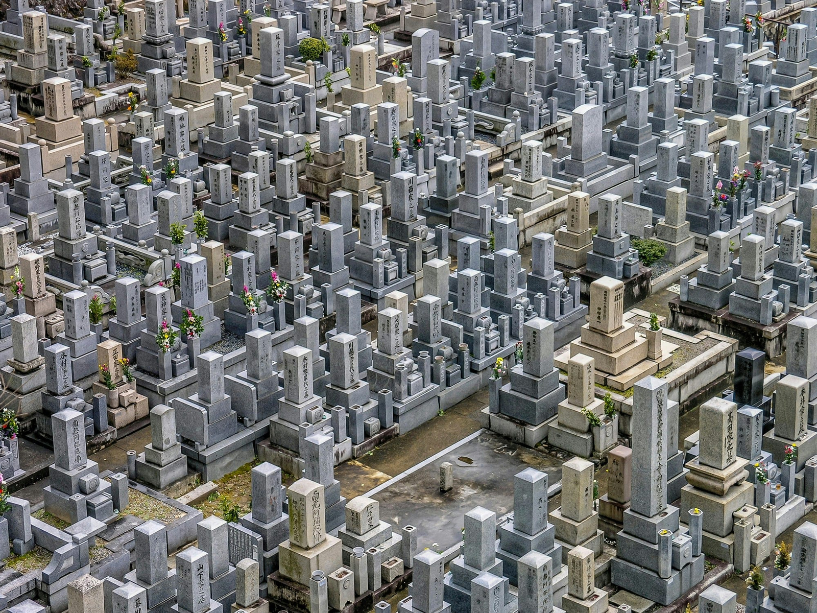 aerial photo of gray
